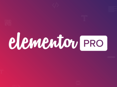 elementor pro elementor pro